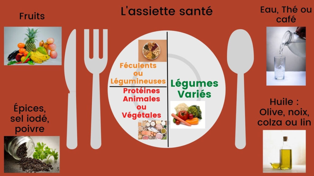 Une assiette équilibrée avec des aliments sains